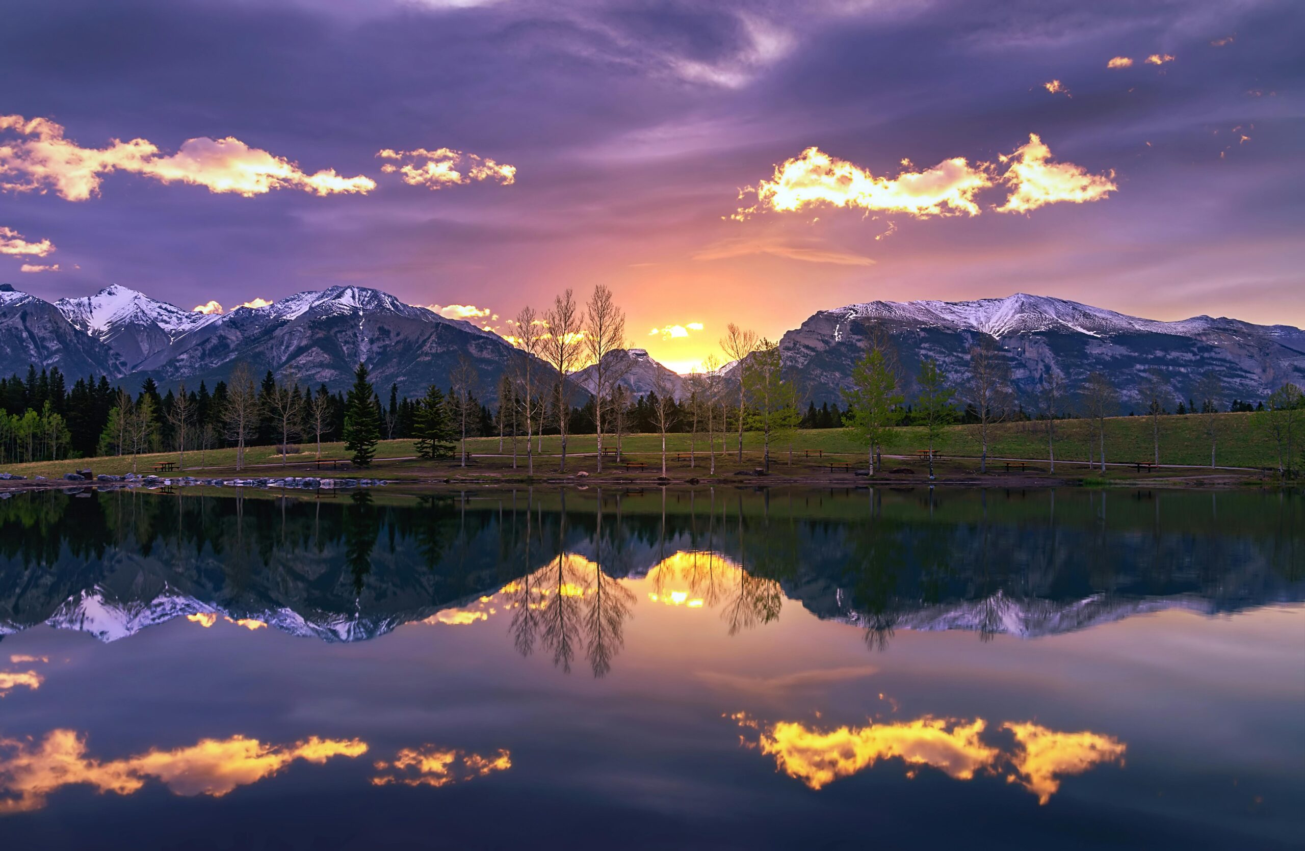 You are currently viewing Top Reasons to Start Physical Therapy as the New Year Gets Underway